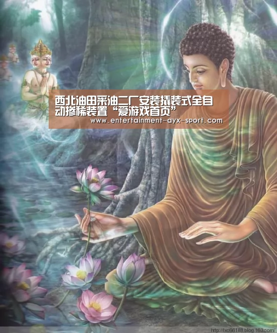 西北油田采油二厂安装撬装式全自动掺稀装置“爱游戏首页”(图1) 爱游戏体育