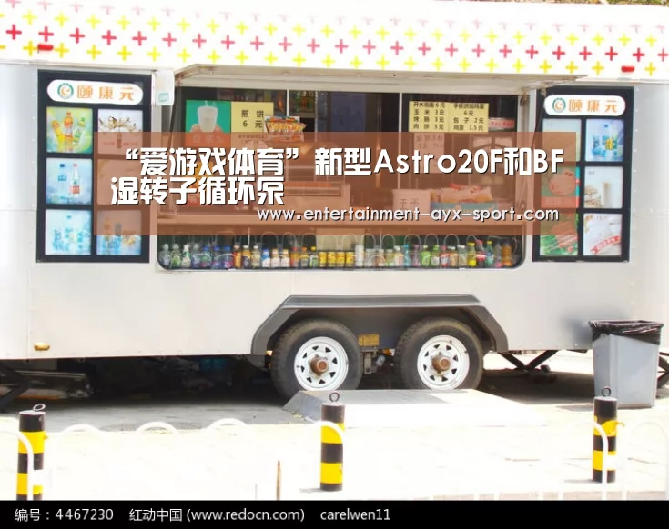 “爱游戏体育”新型Astro20F和BF湿转子循环泵(图2) 爱游戏官网