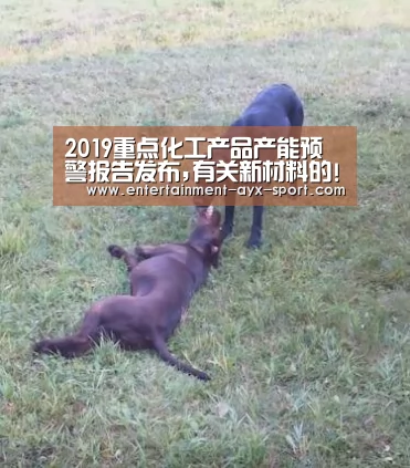 2019重点化工产品产能预警报告发布,有关新材料的!:爱游戏官网(图1) 爱游戏官网