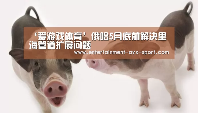 ‘爱游戏体育’俄哈5月底前解决里海管道扩展问题(图3) 爱游戏官网