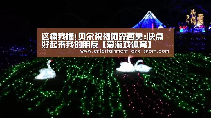 这痛我懂!贝尔祝福阿森西奥:快点好起来我的朋友【爱游戏体育】(图2) 爱游戏