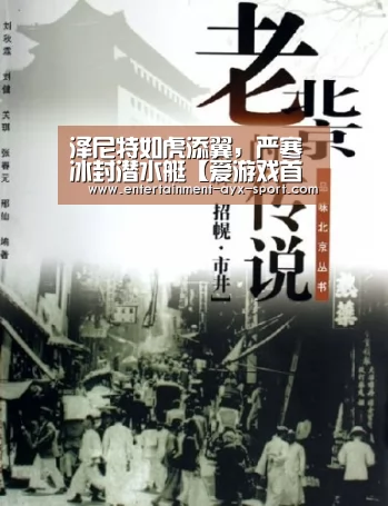 泽尼特如虎添翼,严寒冰封潜水艇【爱游戏首页】(图3) 爱游戏