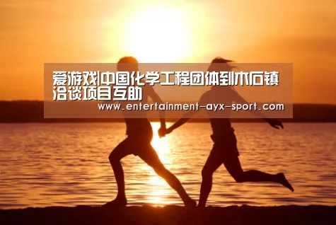 爱游戏|中国化学工程团体到木石镇洽谈项目互助(图3) 爱游戏