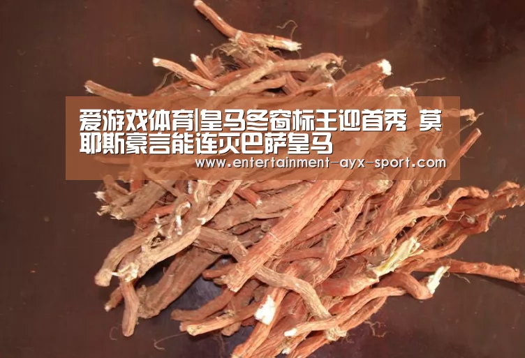 爱游戏体育